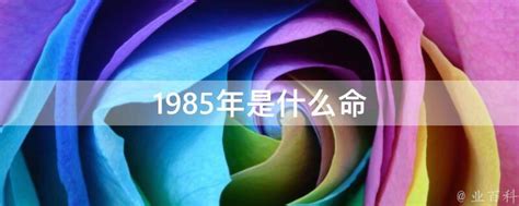 1985年是什么命|1985年出生是什么命运？什么五行？